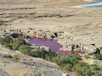 سلطة وادي الأردن: الاقتراب من المياه الحمراء بالبحر الميت خطر جداً