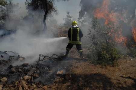 الحنيفات تعويض المزارعين الأردنيين المتضررين من الحرائق الإسرائيلية قبل نهاية العام