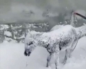 الثلوج في تركيا تحول الحيوانات الى تماثيل مشاهد عجيبة