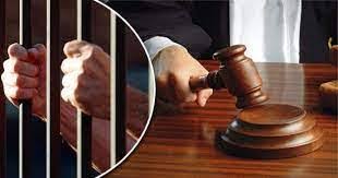 وزارة العدل تنفذ 274 عقوبة بديلة في شهرين