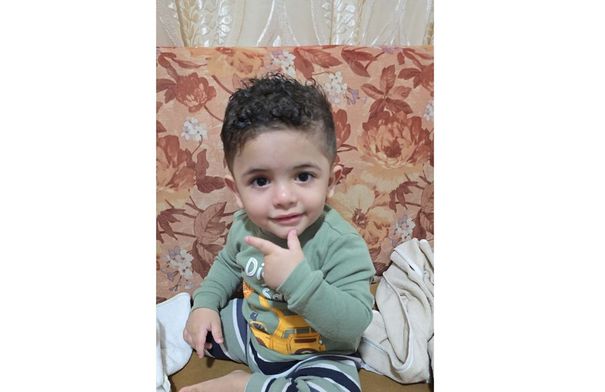 حشرة  ذباب الرمل السوداء تقتل طفلًا في عمّان