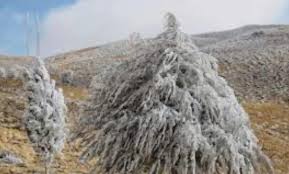 تحذير من الصقيع في ساعات الليل المتأخرة