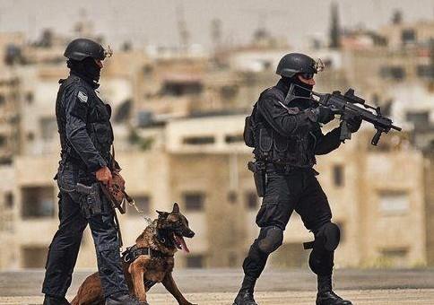 الإعدام بانتظار قاتل شهداء الأمن.. إحباط 25 ألف جريمة مخدرات خلال عام