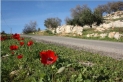 أجواء دافئة في أغلب المناطق السبت وانخفاض ملموس الاثنين