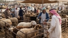 نصف مليون رأس محلي و300 ألف مستورد لضمان وفرة الأضاحي