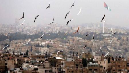 أجواء معتدلة اليوم وحارة نسبيا حتى الأربعاء.. تفاصيل الطقس