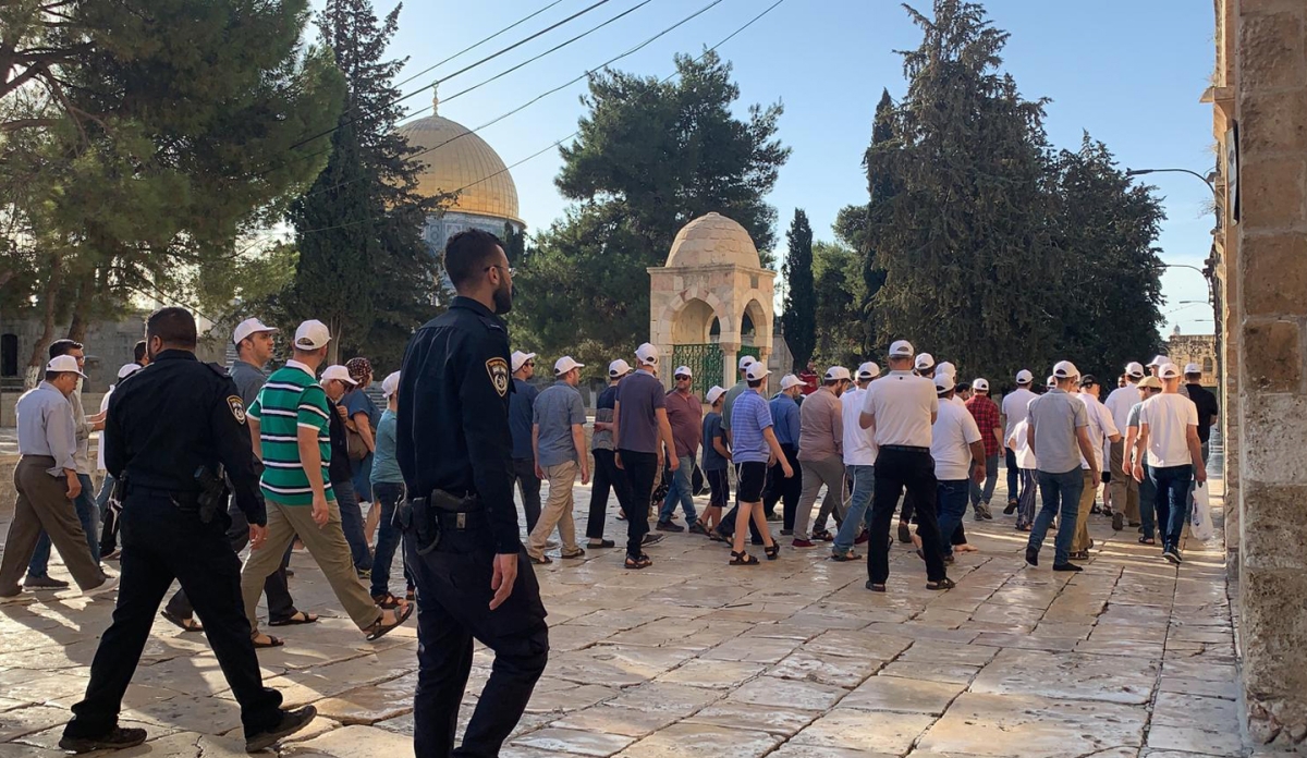 800 مستوطن إسرائيلي يقتحمون المسجد الأقصى بحراسة الشرطة.. يؤدون طقوس تلمودية ورقص وغناء