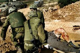 لسعات الدبابير تدخل 12 جندي اسرائيلي الى المستشفى!