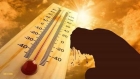 دير علا تسجل أعلى درجة حرارة بـ43.7 مئوية
